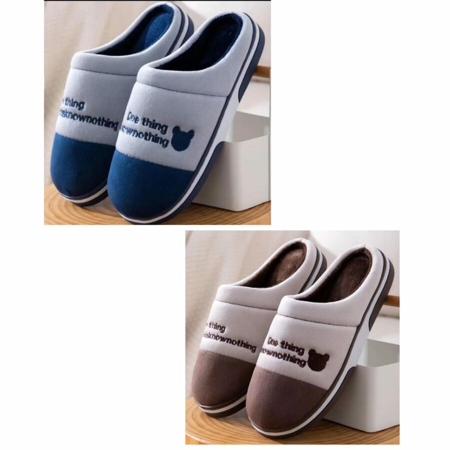 Colored Indoor Shoes