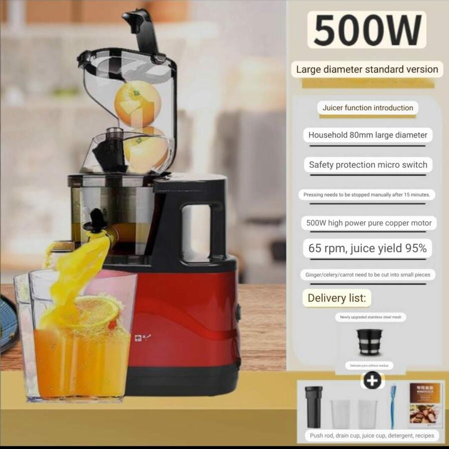 Electric Slow Juicer