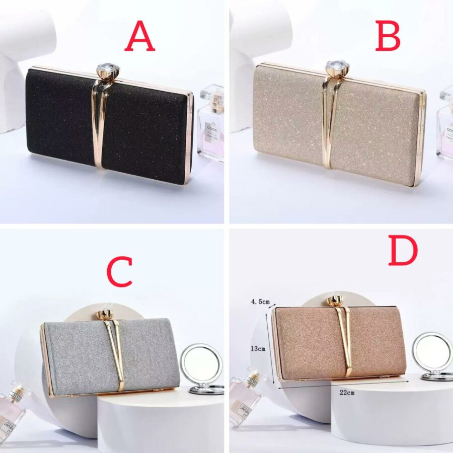 Shiny Clutch bag