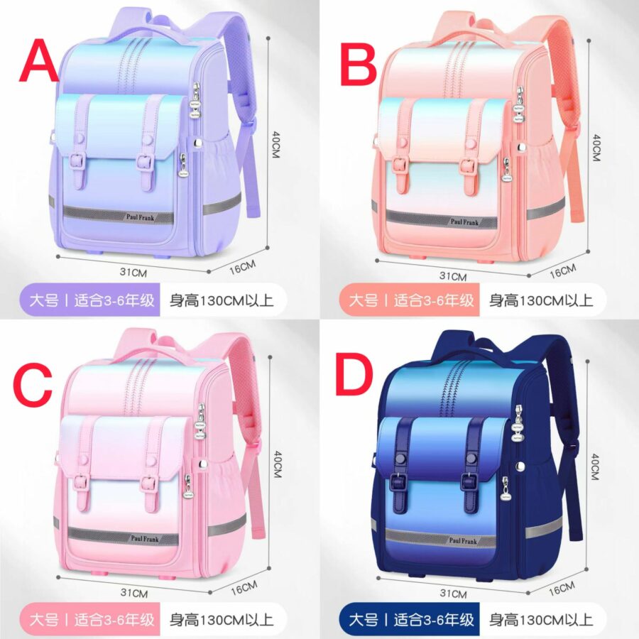 Ergonomic Backpack