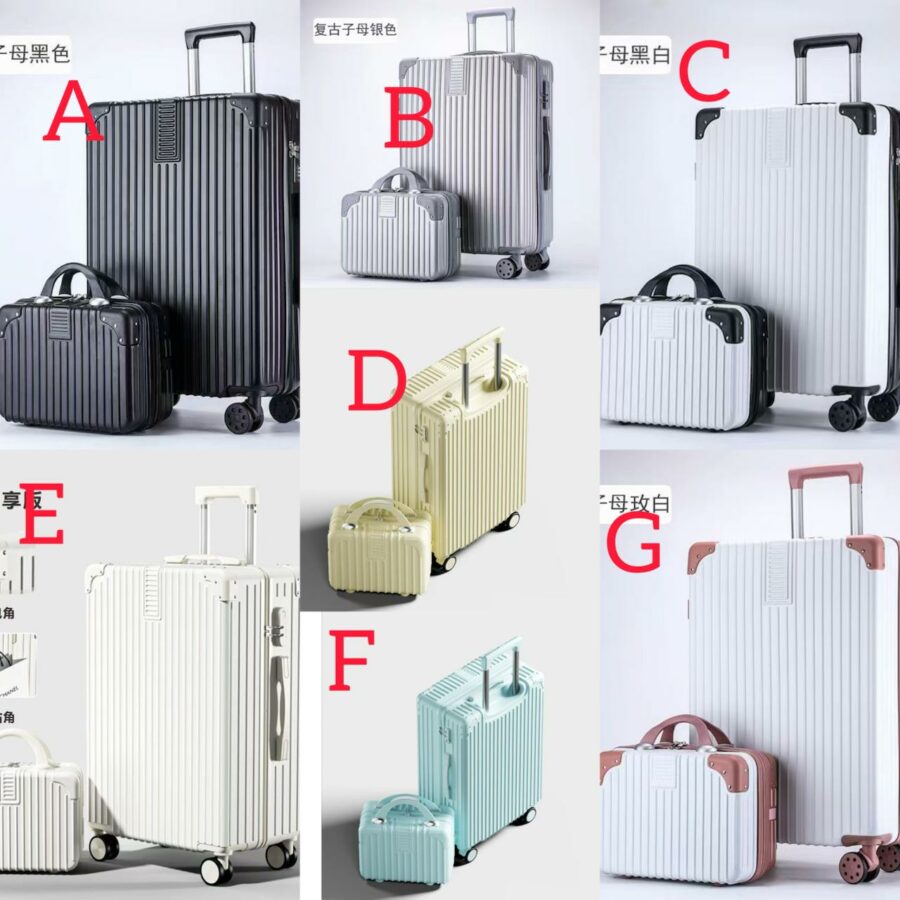 2pc suitcase set