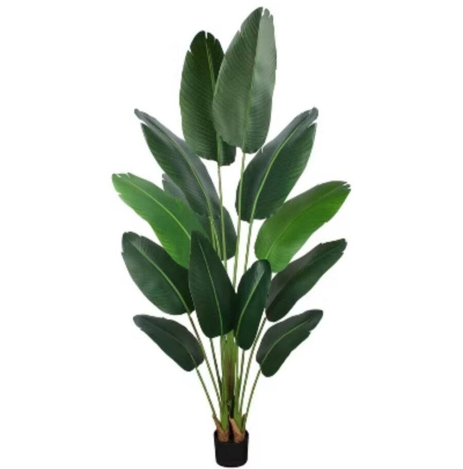 Artificial travellers palm